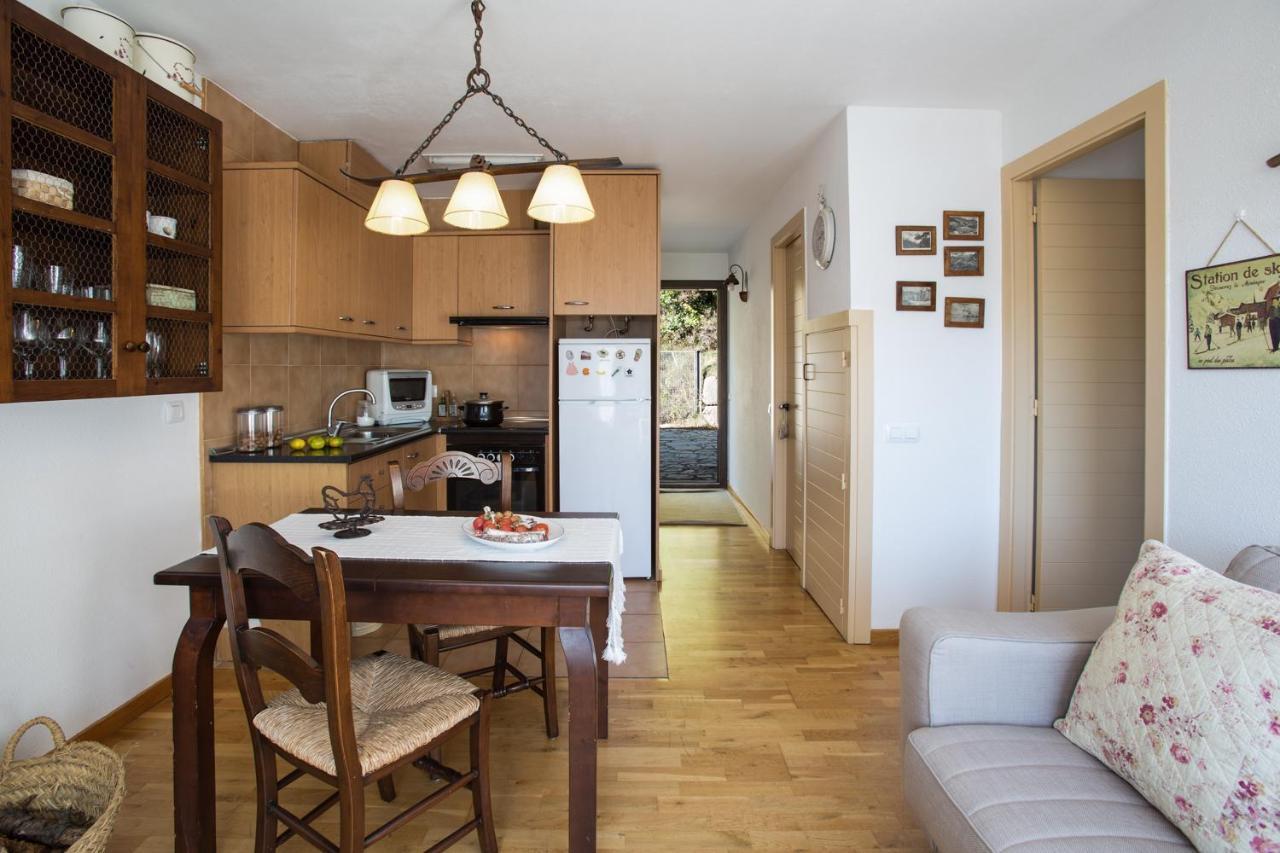 Appartement Ca La Manet à Queralbs Extérieur photo